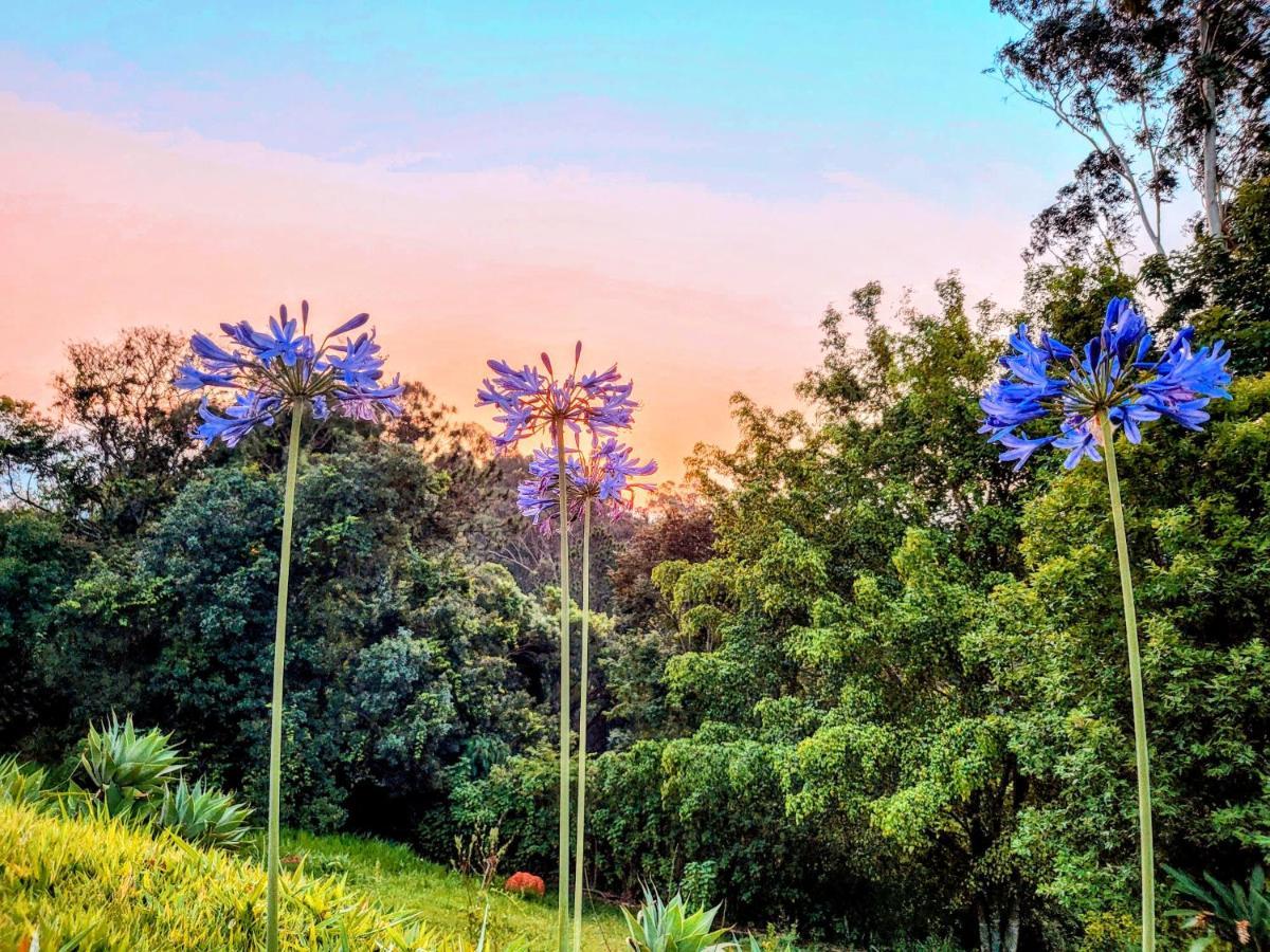 Pousada Dharma Luz E Paz Bragança Paulista Kültér fotó